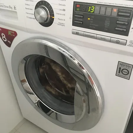 Sea View Dunas De La Mata דירה *